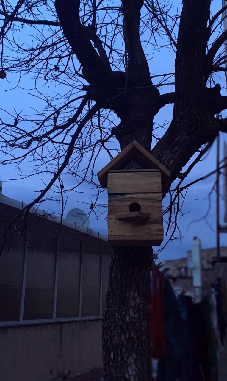 Birdhouse Rooms 第比利斯 外观 照片